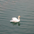 1303016_img