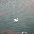 1303017_img