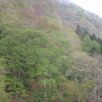 1303031_img