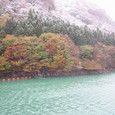 1090961_img