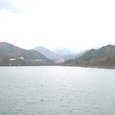 1101005_img