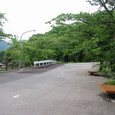 1151505_img