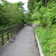 1151509_img