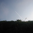 1343416_img