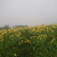 1343423_img