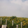 1343426_img
