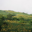 1343427_img