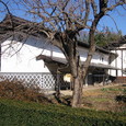 1272766_img
