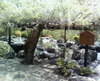 Photo_3