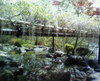 Photo_4
