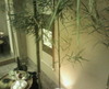 Photo_2