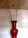20080121