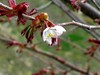 200804141