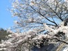 0804213