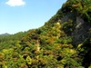 200810162