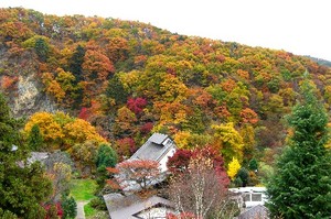 20081112