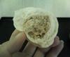 Photo_14