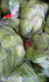 Photo_15