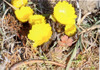 Photo_23