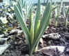 Photo_37