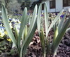 Photo_38