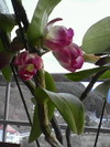 Photo_39