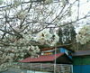 Photo_45