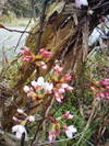 Photo_46